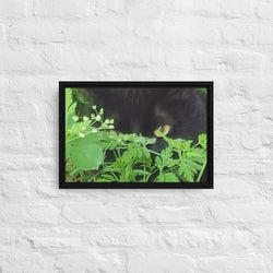 Ralph's Garden Premium Artisan Framed Canvas